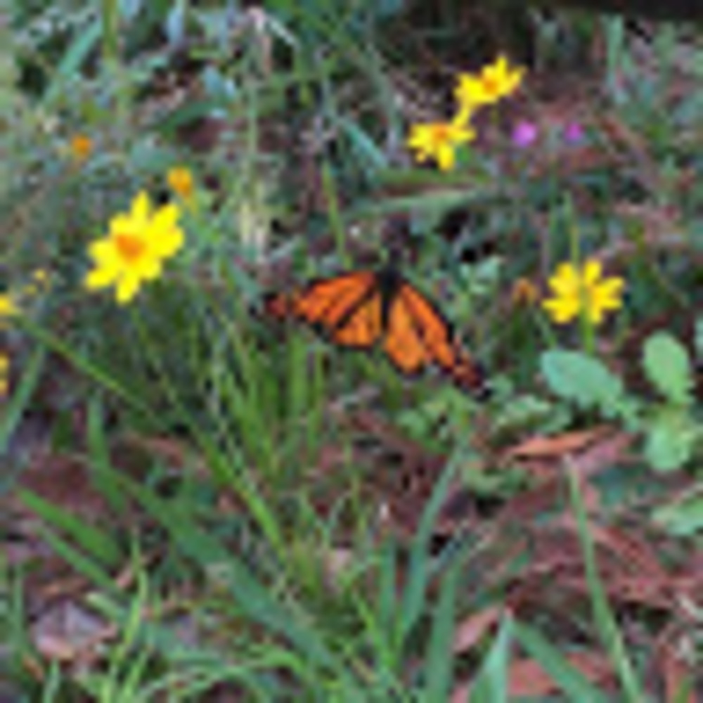 Meet your Posher, Clara